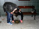 Ikona - Slov�ci neum�j� chlastat :-)